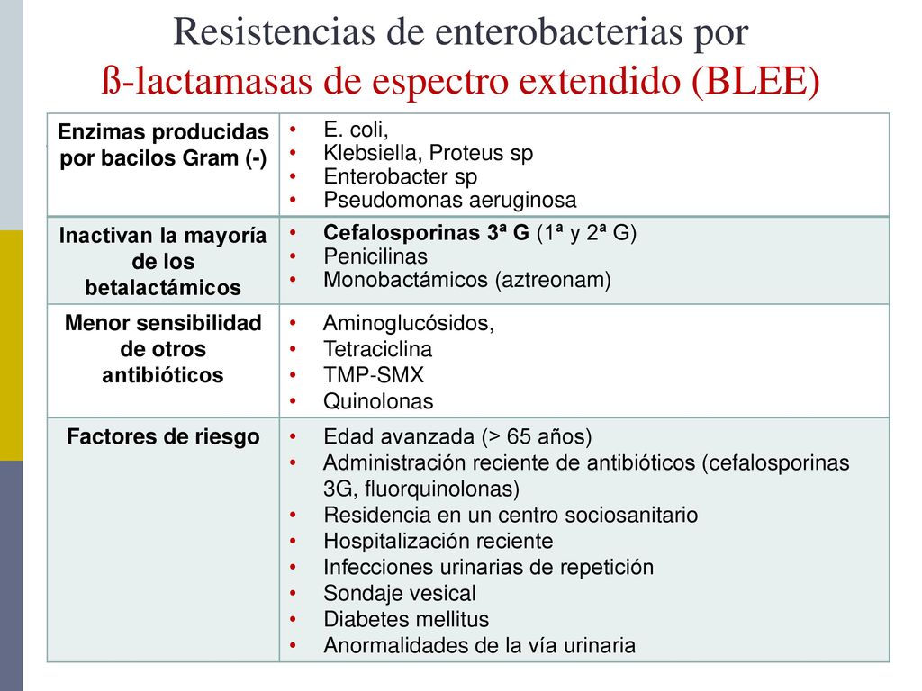 Resistencias de enterobacterias por ß-lactamasas de espectro extendido (BLEE)