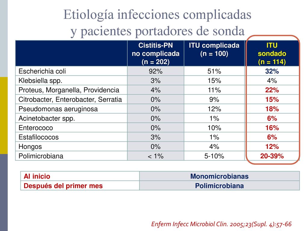 Etiología infecciones complicadas y pacientes portadores de sonda