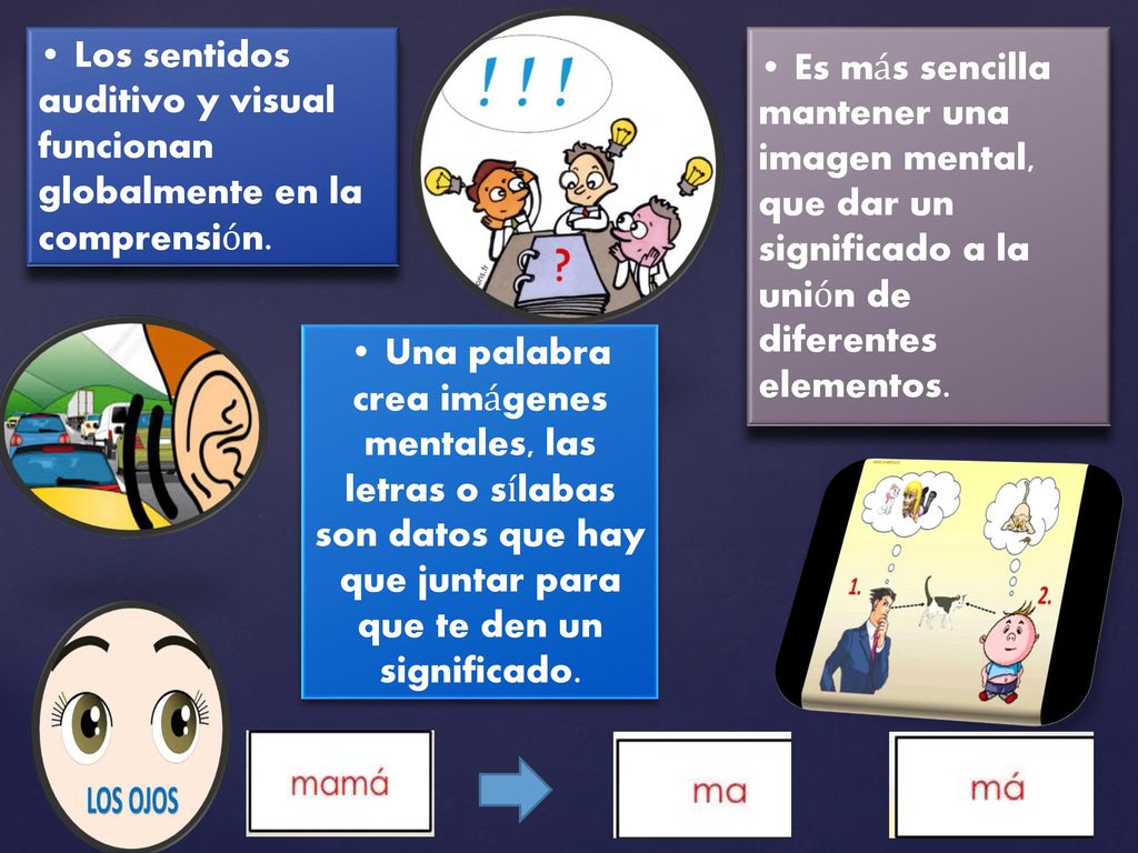 • Los sentidos auditivo y visual funcionan globalmente en la comprensión.