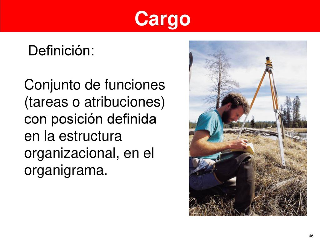 Cargo Definición: Conjunto de funciones (tareas o atribuciones) con posición definida en la estructura organizacional, en el organigrama.