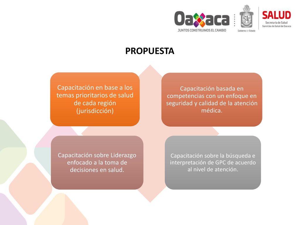 PROPUESTA Capacitación en base a los temas prioritarios de salud de cada región (jurisdicción)