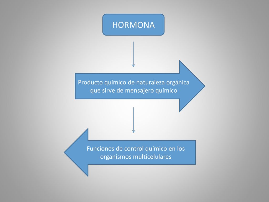 HORMONA Producto químico de naturaleza orgánica que sirve de mensajero químico.