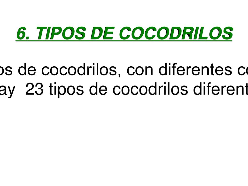 Hay muchos tipos de cocodrilos, con diferentes colores y tamaños.