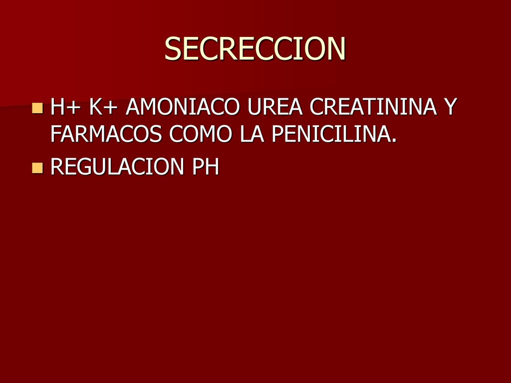 SECRECCION H+ K+ AMONIACO UREA CREATININA Y FARMACOS COMO LA PENICILINA. REGULACION PH
