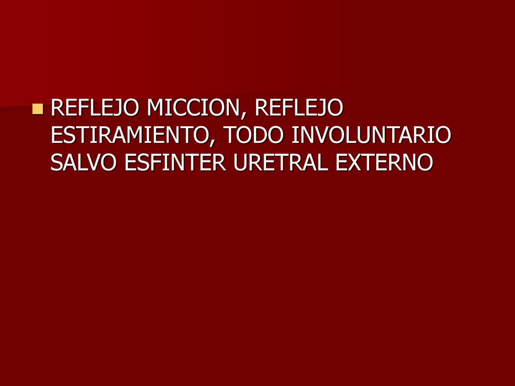 REFLEJO MICCION, REFLEJO ESTIRAMIENTO, TODO INVOLUNTARIO SALVO ESFINTER URETRAL EXTERNO