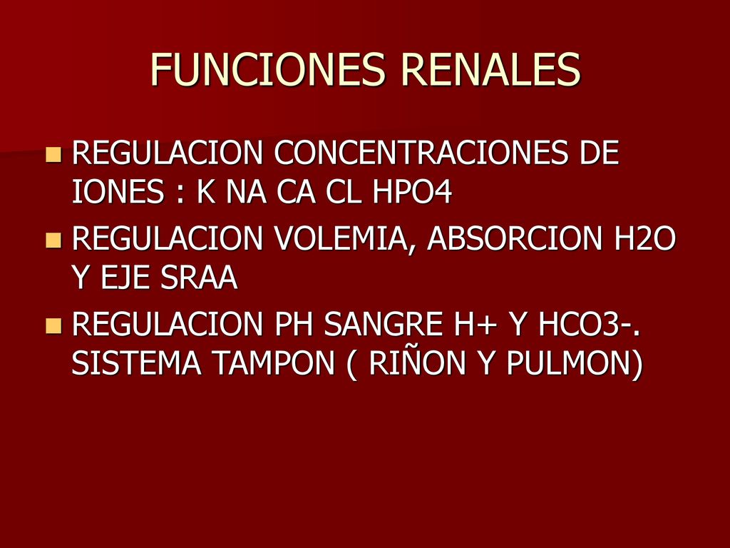 FUNCIONES RENALES REGULACION CONCENTRACIONES DE IONES : K NA CA CL HPO4. REGULACION VOLEMIA, ABSORCION H2O Y EJE SRAA.