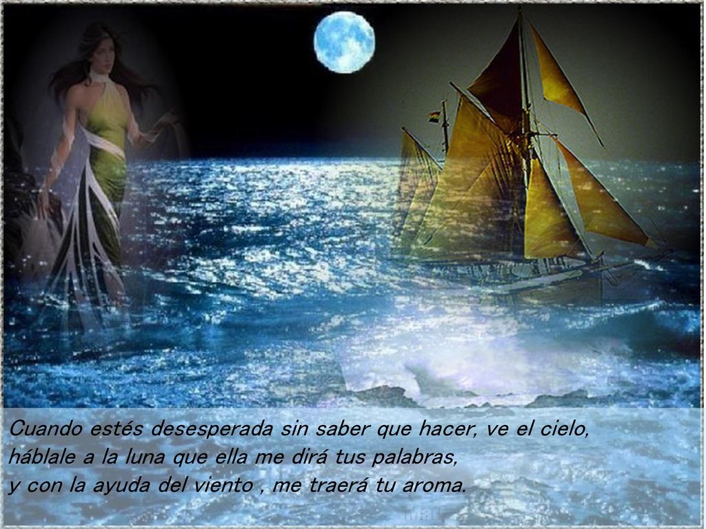 Cuando estés desesperada sin saber que hacer, ve el cielo, háblale a la luna que ella me dirá tus palabras, y con la ayuda del viento , me traerá tu aroma.