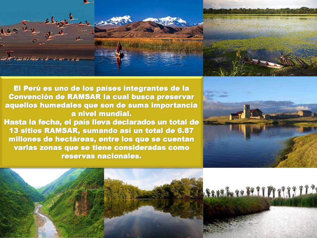 El Perú es uno de los países integrantes de la Convención de RAMSAR la cual busca preservar aquellos humedales que son de suma importancia a nivel mundial.
