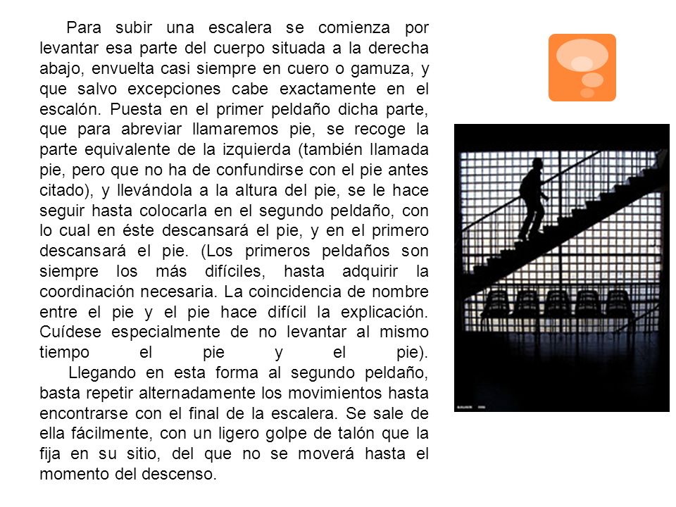 Para subir una escalera se comienza por levantar esa parte del cuerpo situada a la derecha abajo, envuelta casi siempre en cuero o gamuza, y que salvo excepciones cabe exactamente en el escalón.
