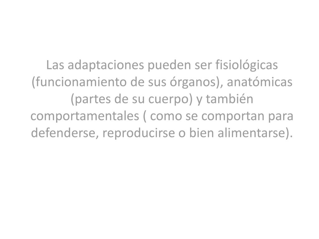 Las adaptaciones pueden ser fisiológicas (funcionamiento de sus órganos), anatómicas (partes de su cuerpo) y también comportamentales ( como se comportan para defenderse, reproducirse o bien alimentarse).