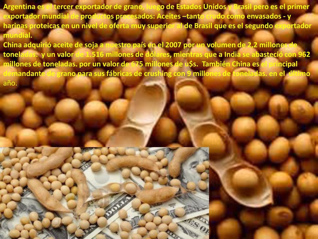 Argentina es el tercer exportador de grano, luego de Estados Unidos y Brasil pero es el primer exportador mundial de productos procesados: Aceites –tanto crudo como envasados - y harinas proteicas en un nivel de oferta muy superior al de Brasil que es el segundo exportador mundial.