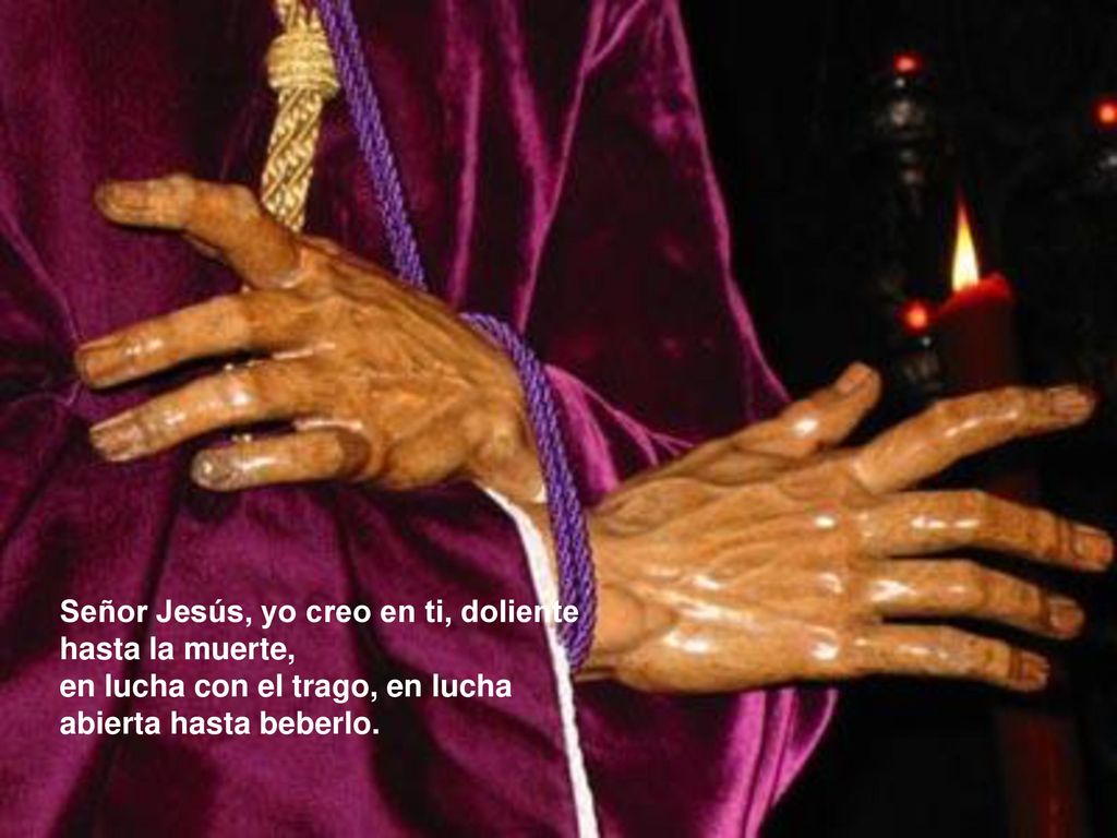 Señor Jesús, yo creo en ti, doliente hasta la muerte,