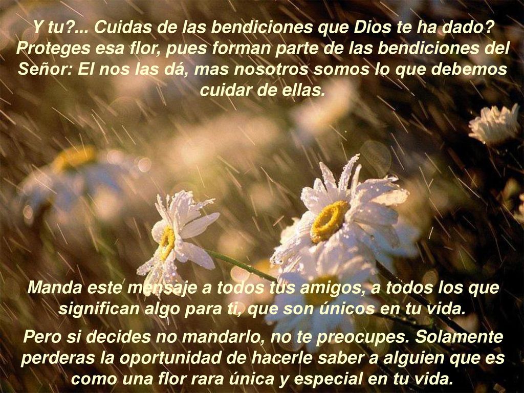 Y tu. Cuidas de las bendiciones que Dios te ha dado