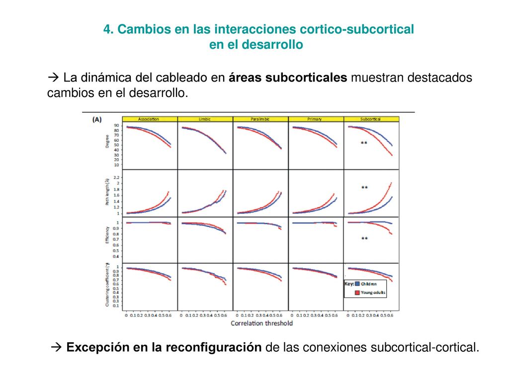 4. Cambios en las interacciones cortico-subcortical