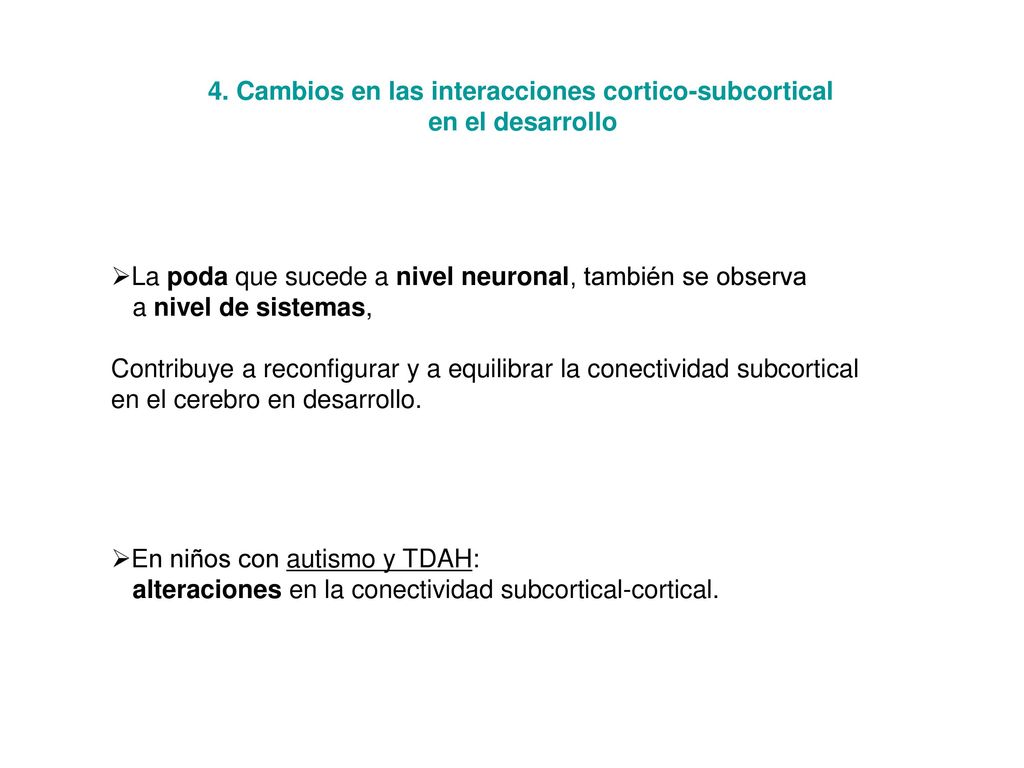 4. Cambios en las interacciones cortico-subcortical