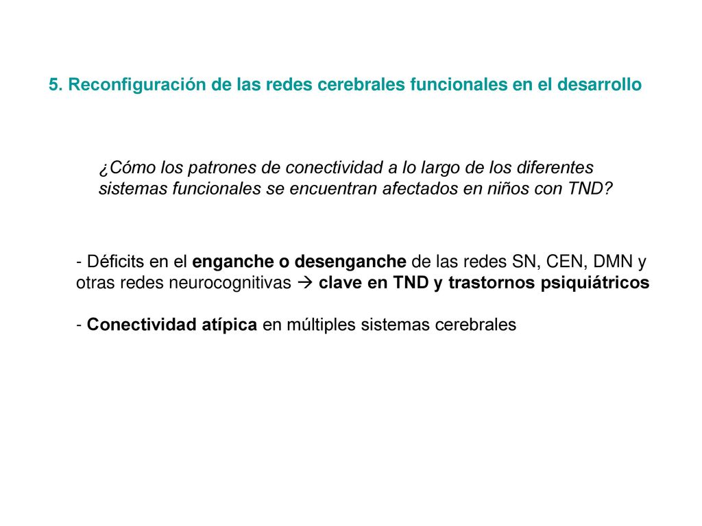 5. Reconfiguración de las redes cerebrales funcionales en el desarrollo