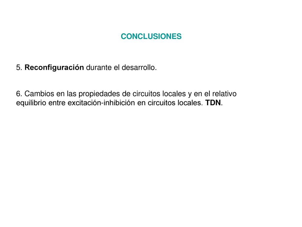 CONCLUSIONES 5. Reconfiguración durante el desarrollo. 6. Cambios en las propiedades de circuitos locales y en el relativo.