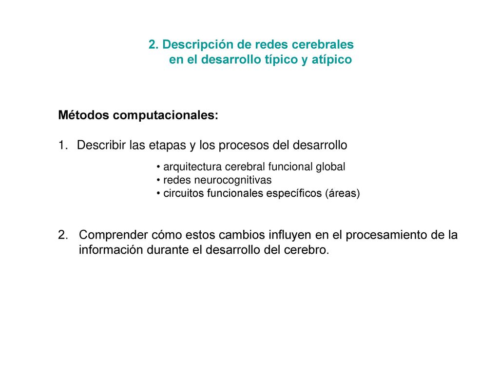 2. Descripción de redes cerebrales en el desarrollo típico y atípico