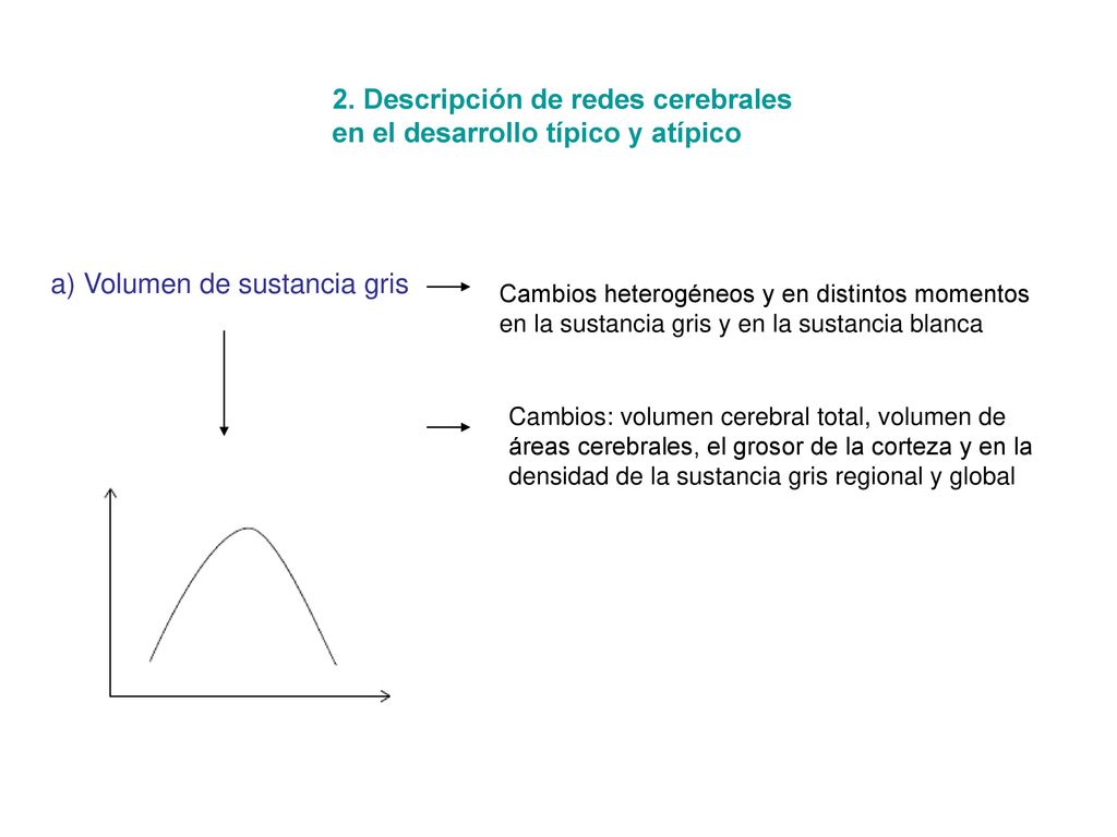 2. Descripción de redes cerebrales en el desarrollo típico y atípico