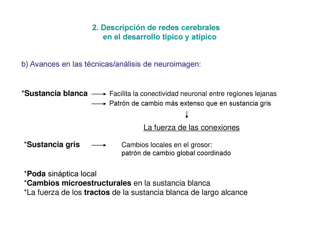 2. Descripción de redes cerebrales en el desarrollo típico y atípico