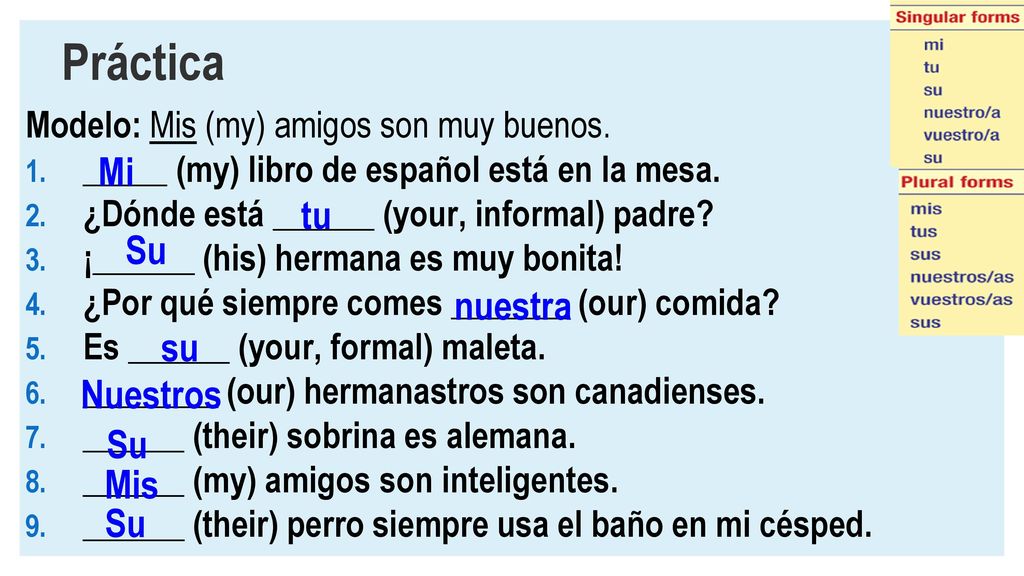 Práctica Mi tu Su nuestra su Nuestros Su Mis Su