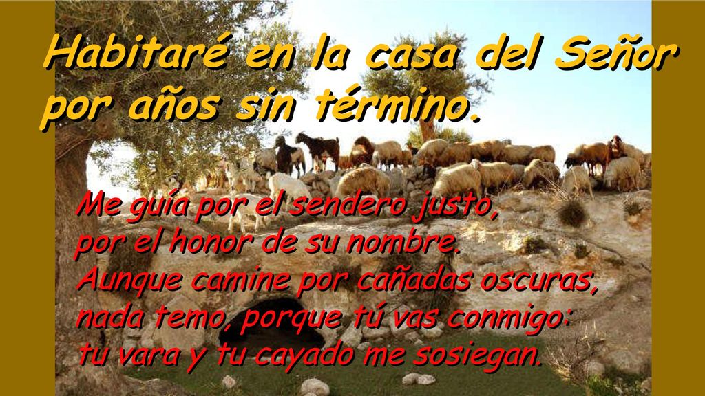 Habitaré en la casa del Señor por años sin término.