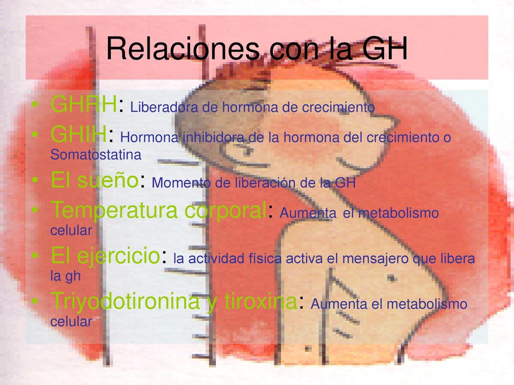 Relaciones con la GH GHRH: Liberadora de hormona de crecimiento