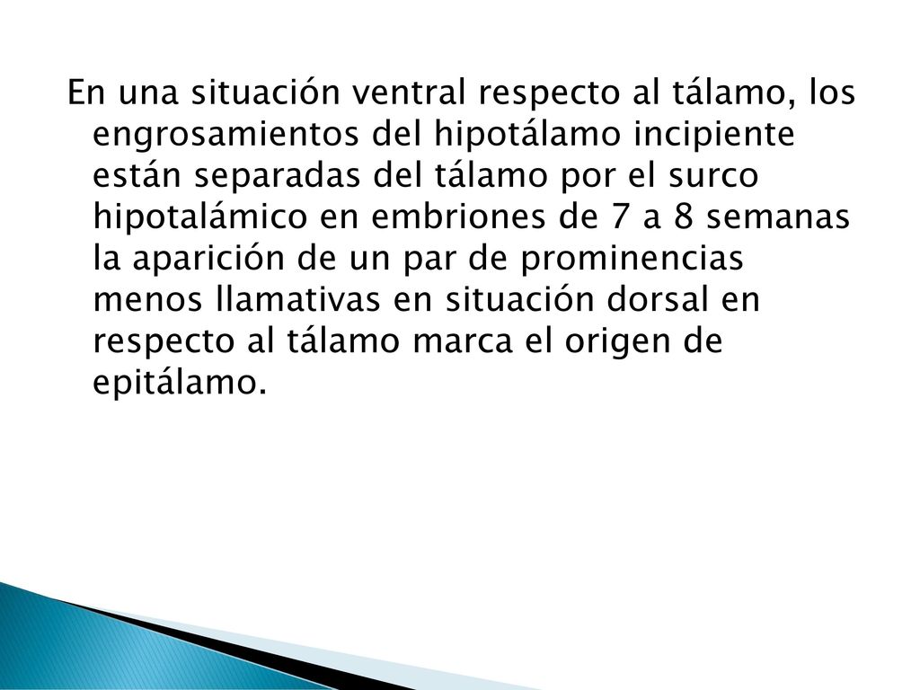 En una situación ventral respecto al tálamo, los engrosamientos del hipotálamo incipiente están separadas del tálamo por el surco hipotalámico en embriones de 7 a 8 semanas la aparición de un par de prominencias menos llamativas en situación dorsal en respecto al tálamo marca el origen de epitálamo.