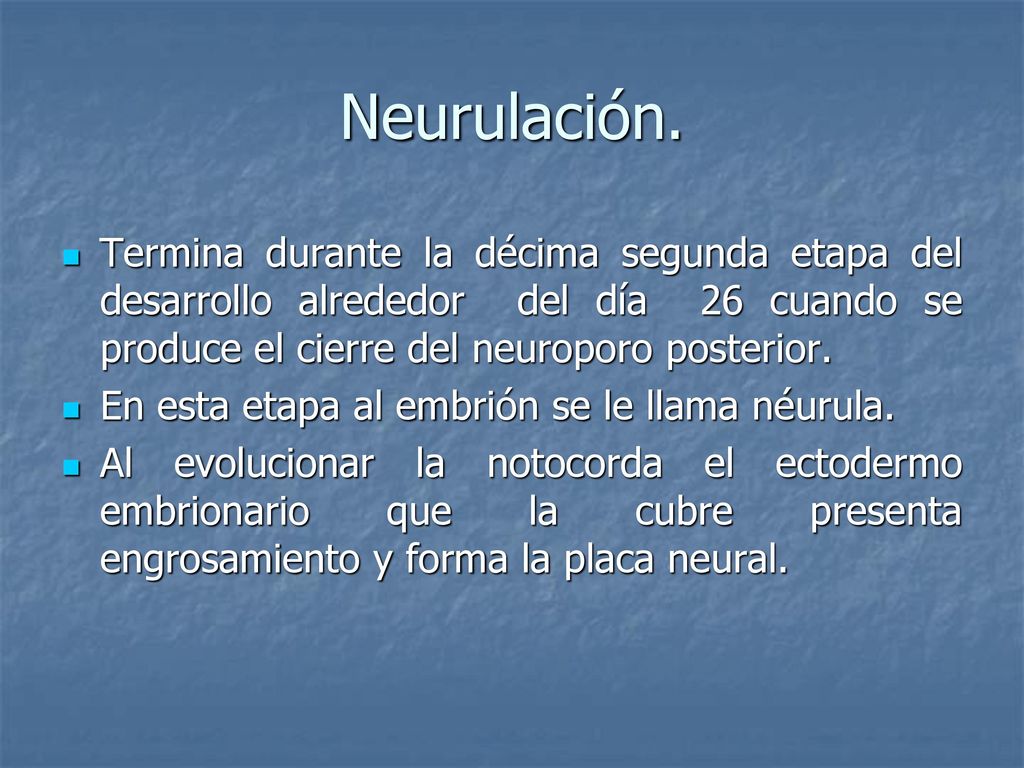 Neurulación. Termina durante la décima segunda etapa del desarrollo alrededor del día 26 cuando se produce el cierre del neuroporo posterior.