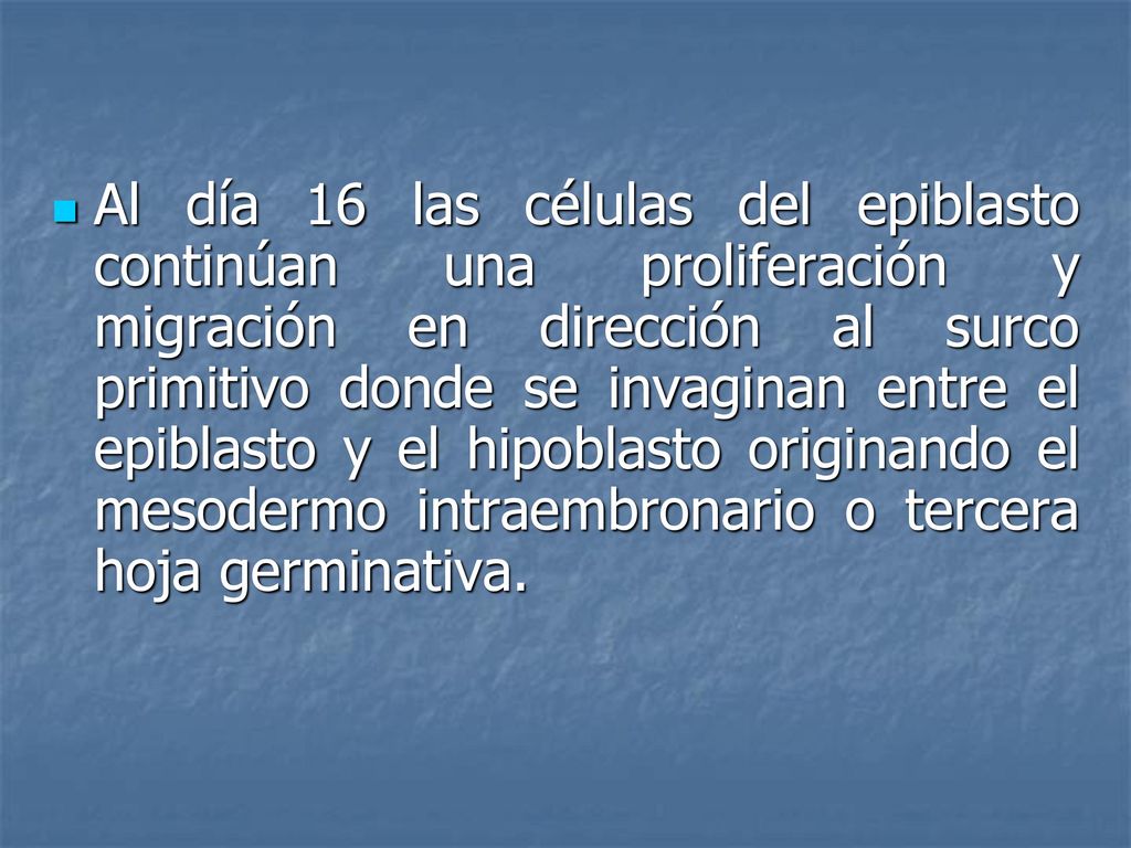Al día 16 las células del epiblasto continúan una proliferación y migración en dirección al surco primitivo donde se invaginan entre el epiblasto y el hipoblasto originando el mesodermo intraembronario o tercera hoja germinativa.