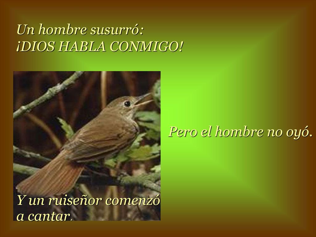 Un hombre susurró: ¡DIOS HABLA CONMIGO! Pero el hombre no oyó. Y un ruiseñor comenzó a cantar.