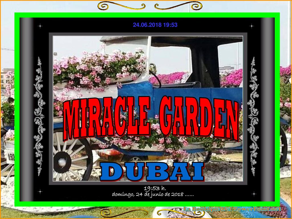 MIRACLE GARDEN DUBAI domingo, 24 de junio de 2018 …… 19:53 h.