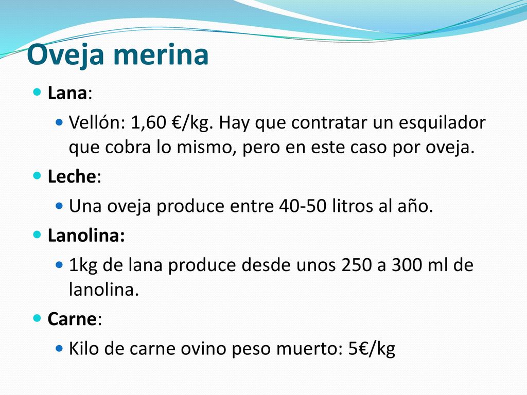 Oveja merina Lana: Vellón: 1,60 €/kg. Hay que contratar un esquilador que cobra lo mismo, pero en este caso por oveja.