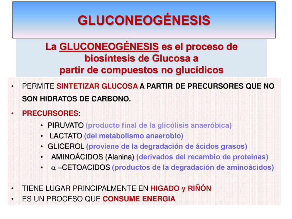 GLUCONEOGÉNESIS La GLUCONEOGÉNESIS es el proceso de biosíntesis de Glucosa a. partir de compuestos no glucídicos.