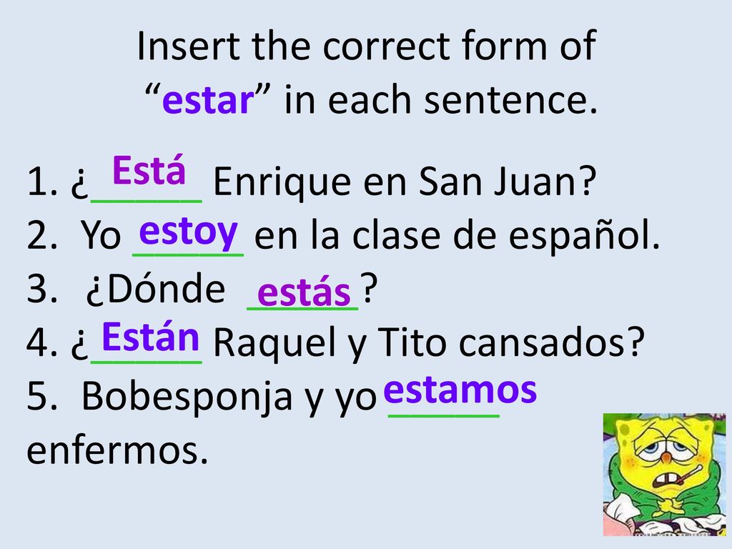 Insert the correct form of estar in each sentence.
