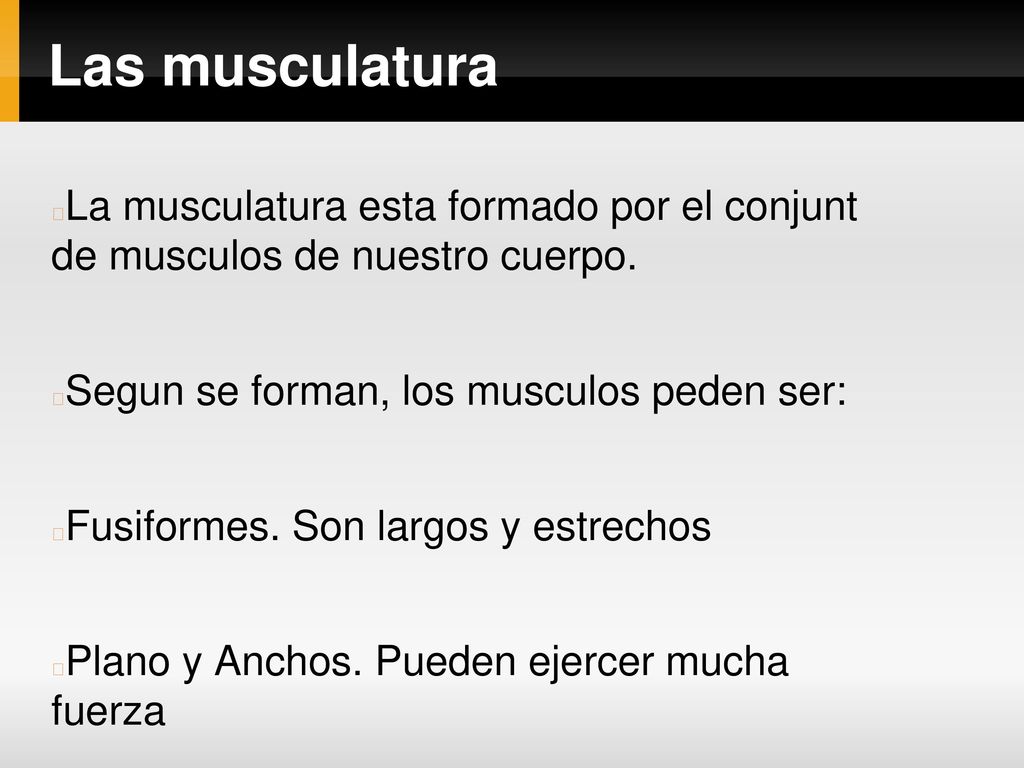 Las musculatura La musculatura esta formado por el conjunt de musculos de nuestro cuerpo. Segun se forman, los musculos peden ser: