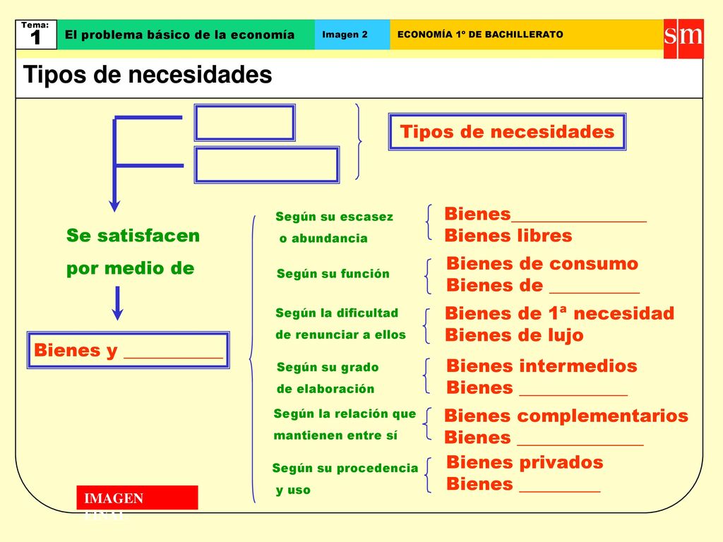 Tipos de necesidades 1 Tipos de necesidades Bienes_______________