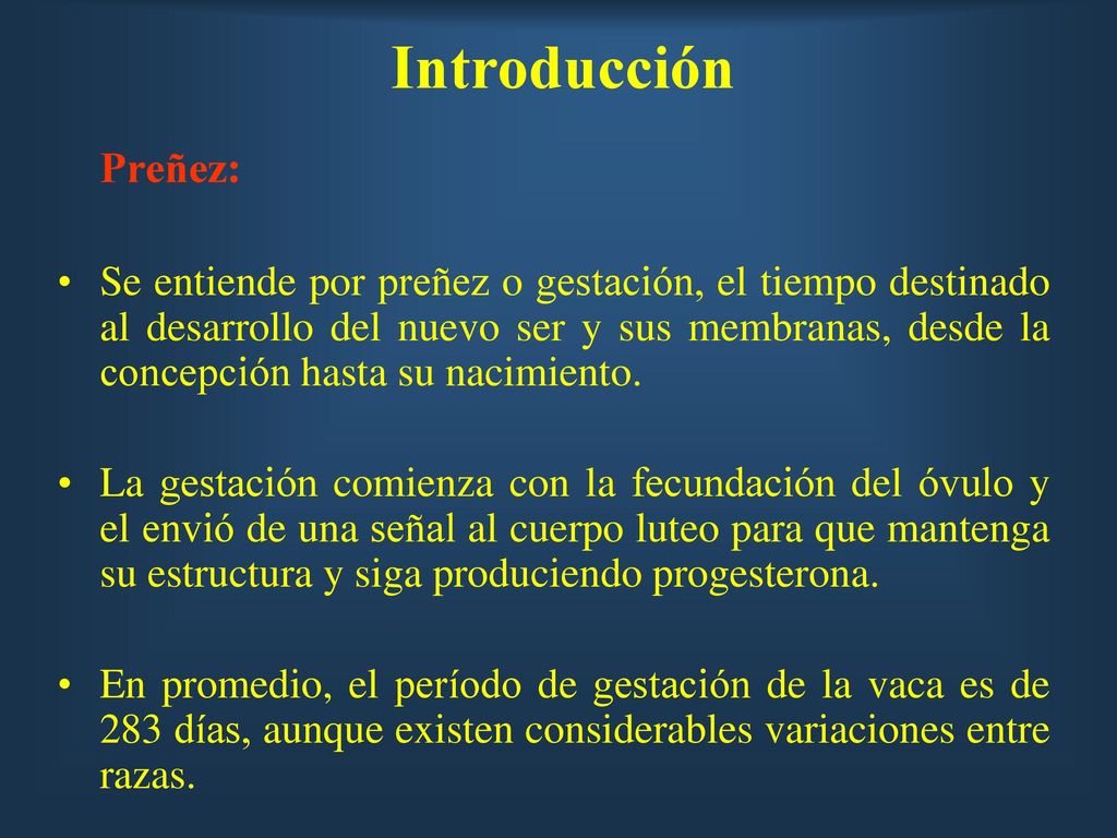 Introducción Preñez: