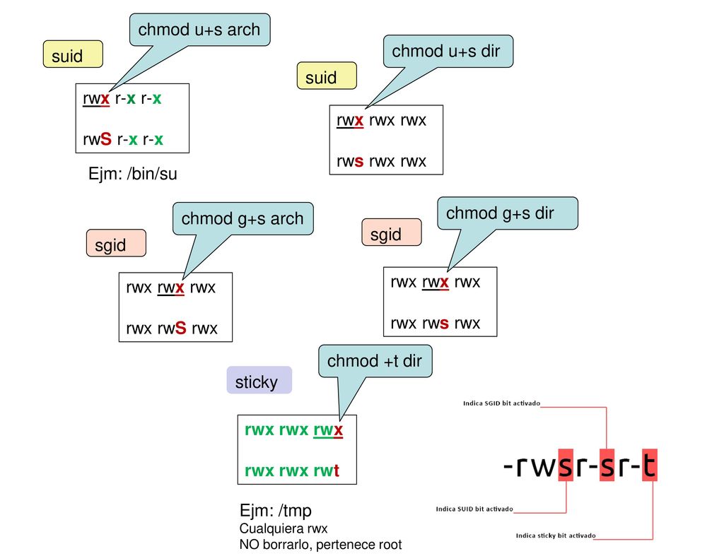 chmod u+s arch chmod u+s dir suid suid rwx r-x r-x rwS r-x r-x