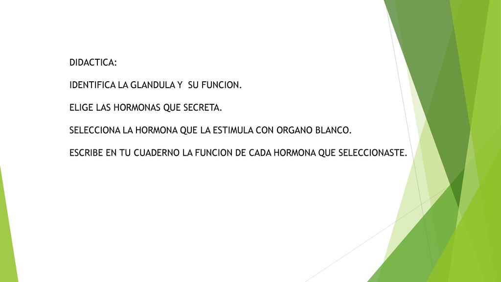 DIDACTICA: IDENTIFICA LA GLANDULA Y SU FUNCION. ELIGE LAS HORMONAS QUE SECRETA. SELECCIONA LA HORMONA QUE LA ESTIMULA CON ORGANO BLANCO.