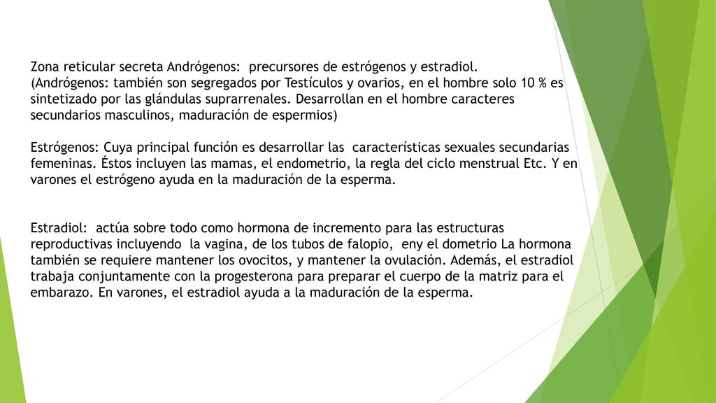 Zona reticular secreta Andrógenos: precursores de estrógenos y estradiol.