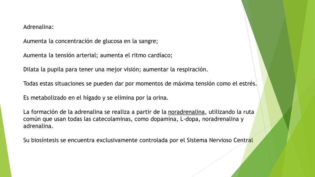 Adrenalina: Aumenta la concentración de glucosa en la sangre; Aumenta la tensión arterial; aumenta el ritmo cardíaco;