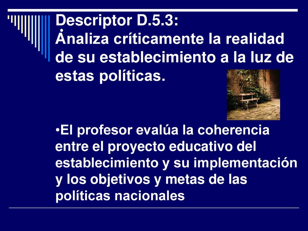 Descriptor D.5.3: Analiza críticamente la realidad de su establecimiento a la luz de estas políticas.