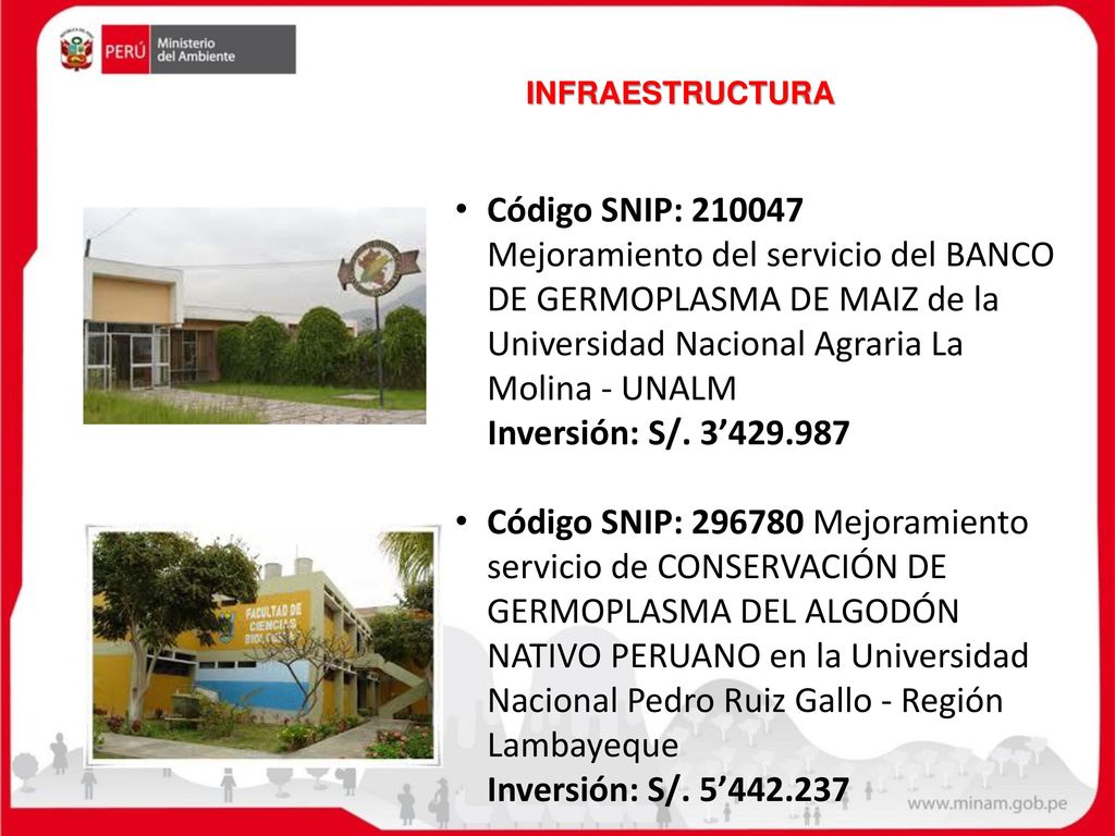 INFRAESTRUCTURA Código SNIP: Mejoramiento del servicio del BANCO DE GERMOPLASMA DE MAIZ de la Universidad Nacional Agraria La Molina - UNALM.