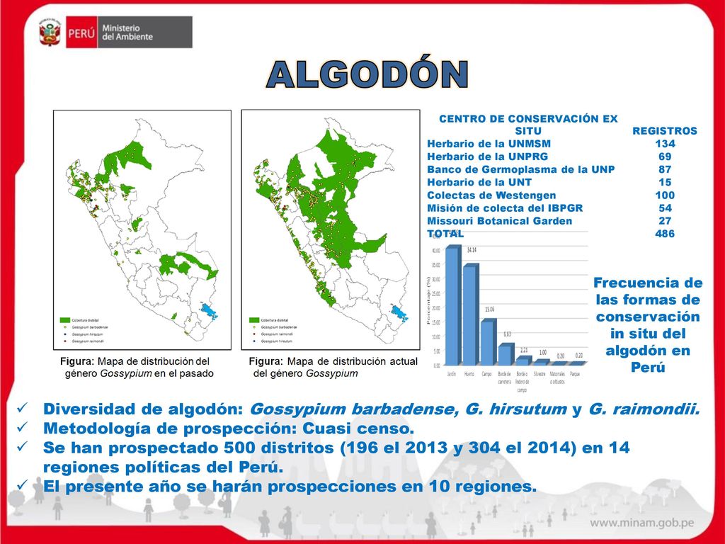 ALGODÓN CENTRO DE CONSERVACIÓN EX SITU. REGISTROS. Herbario de la UNMSM Herbario de la UNPRG.