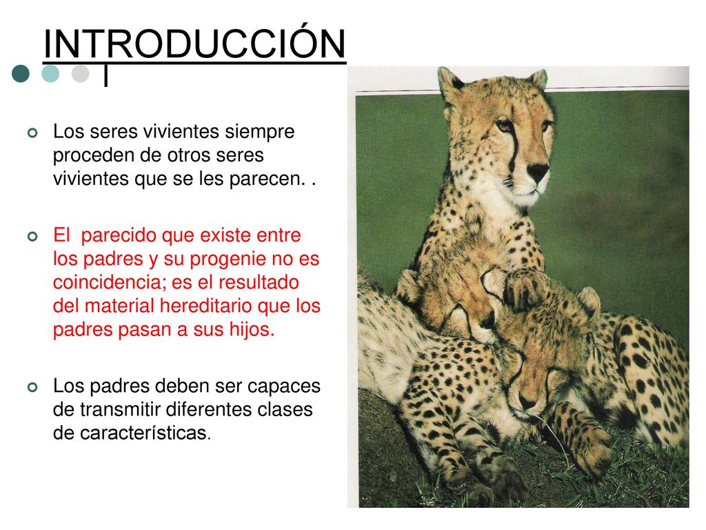 INTRODUCCIÓN Los seres vivientes siempre proceden de otros seres vivientes que se les parecen. .