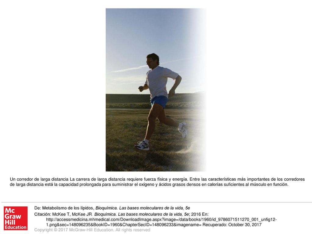 Un corredor de larga distancia La carrera de larga distancia requiere fuerza física y energía. Entre las características más importantes de los corredores de larga distancia está la capacidad prolongada para suministrar el oxígeno y ácidos grasos densos en calorías suficientes al músculo en función.