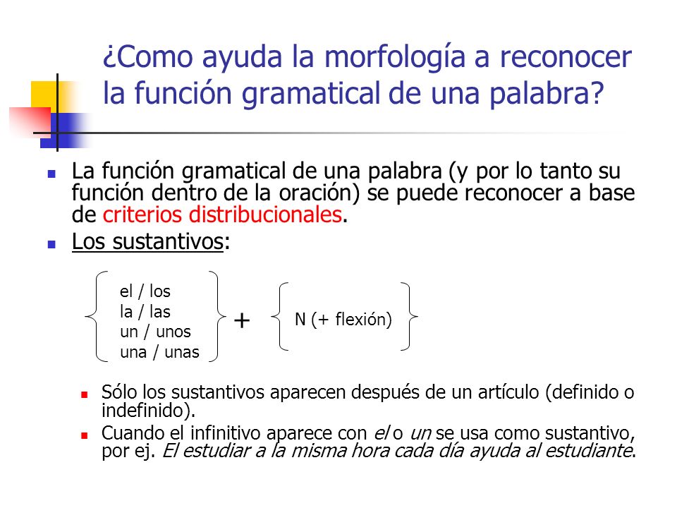 ¿Como ayuda la morfología a reconocer la función gramatical de una palabra