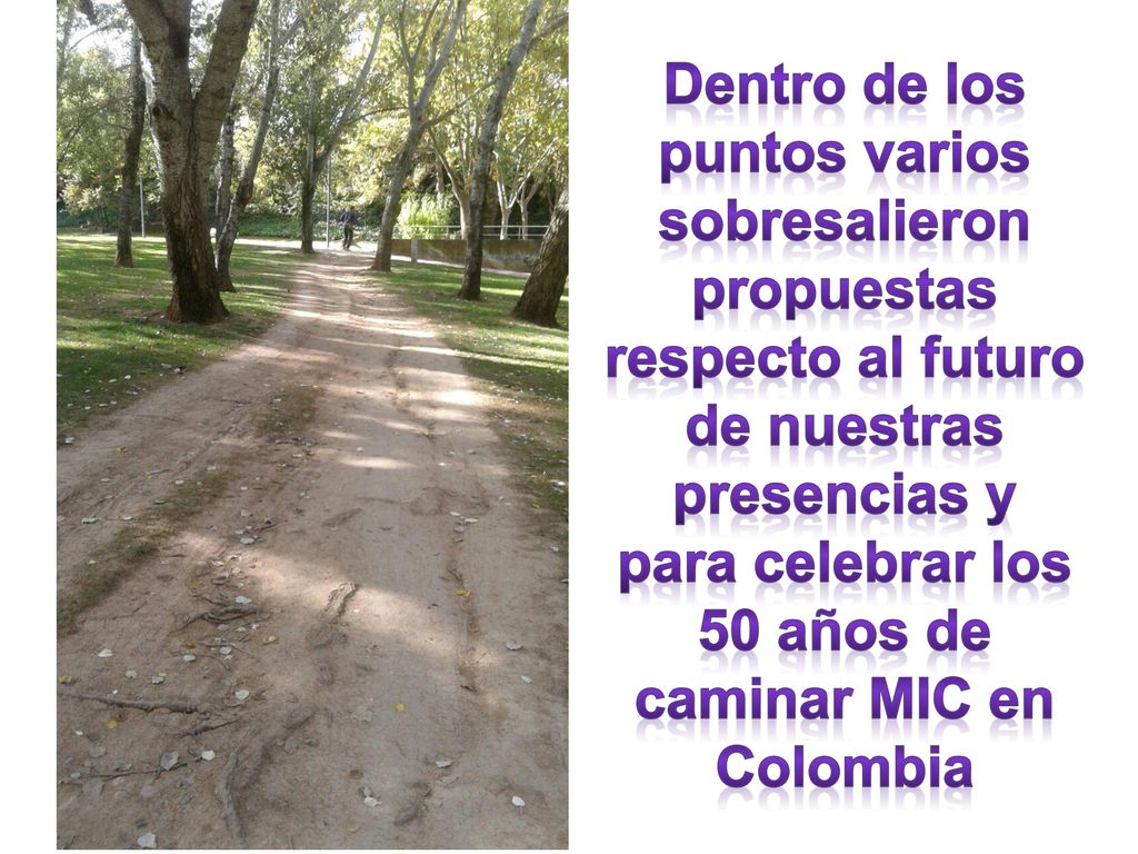Dentro de los puntos varios sobresalieron propuestas respecto al futuro de nuestras presencias y para celebrar los 50 años de caminar MIC en Colombia