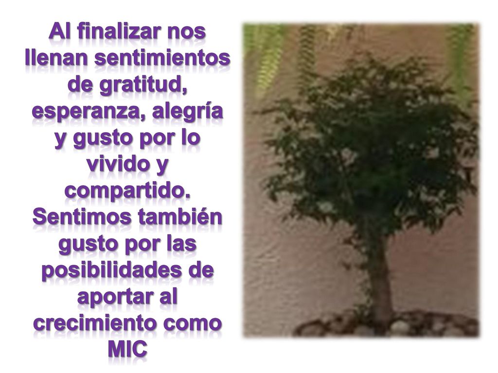 Al finalizar nos llenan sentimientos de gratitud, esperanza, alegría y gusto por lo vivido y compartido.